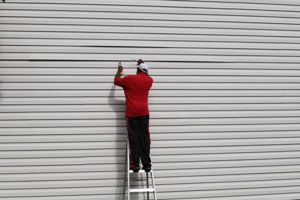 Best Aluminum Siding Installation  in Alexandria, KY