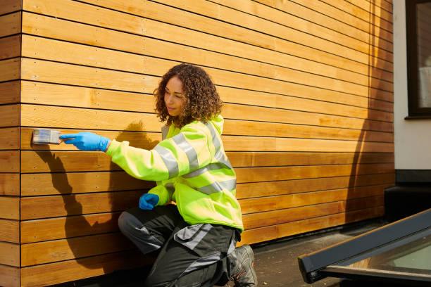 Professional Siding in Alexandria, KY